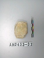 藏品(小型磨製石錛)的圖片